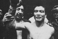 猿の子供/柴田国明