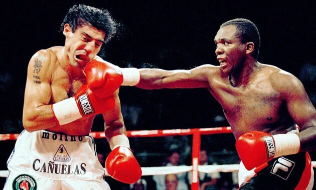 ソウェトの薔薇/ディンガン・トベラ